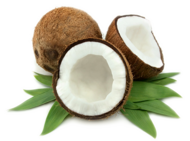 Coconuts